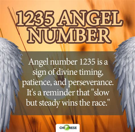 1235 angel number twin flame|1235 Angel Number Meaning in Twin Flame, Love and Career